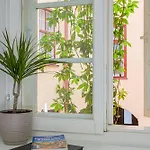 Old Town Silent Garden House タリン