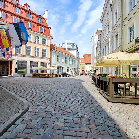 Old Town Silent Garden House * Talin